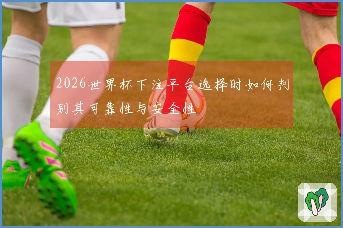 2026世界杯下注平台选择时如何判别其可靠性与安全性