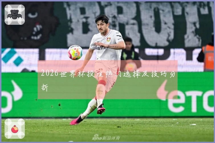 2026世界杯投注热门选择及技巧分折