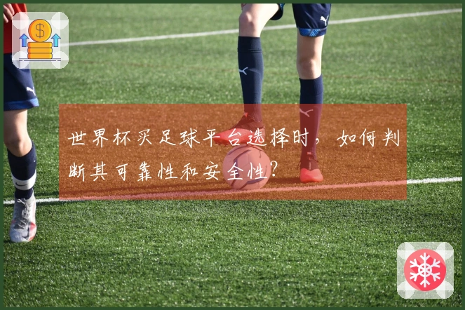世界杯买足球平台选择时，如何判断其可靠性和安全性？