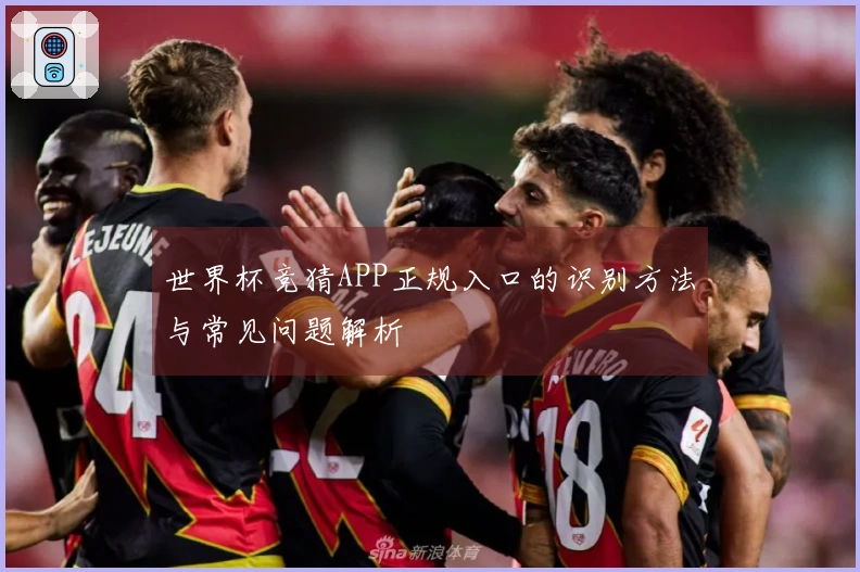 世界杯竞猜APP正规入口的识别方法与常见问题解析